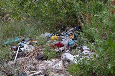 Doğadaki çöp yığınları, kirlilik, plastik. Gezegenin ekolojisi üzerindeki insan etkisi.