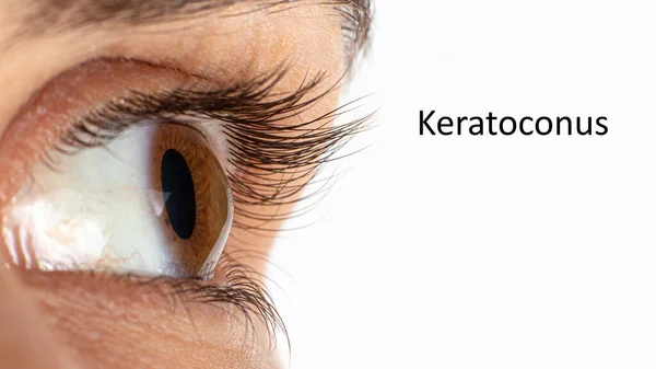 Metin için yeri olan pankart.