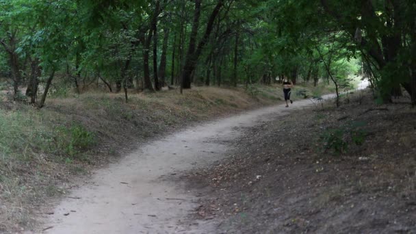 소녀는 속에서 달리는 종사하고 있으며 회복시키기 운동을 중지하고 나무들 사이에서 — 비디오