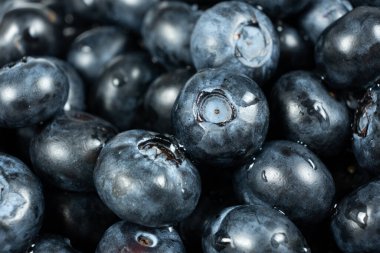 Su damlalarında taze yaban mersini yakın plan, böğürtlen arka plan.