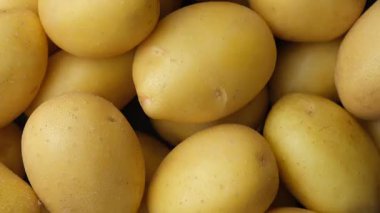 Organik Soyulmamış Patates Makrosu, Sağlıklı Çiğ Sebze Döndürme.