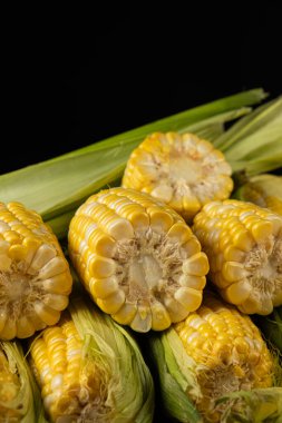 Yakın plan taze olgun mısır koçanı yığını.