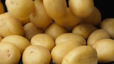 Bir yığın taze, soyulmamış çiğ patatesin yavaş yavaş düşüşü.