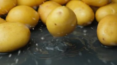 Ağır çekimde taze soyulmamış patatesler..