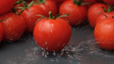 Taze olgun domates yavaş çekimde düşüyor, su sıçrıyor.