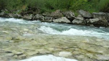 Alplerdeki hızlı nehir akıntısı, vahşi yaşam.