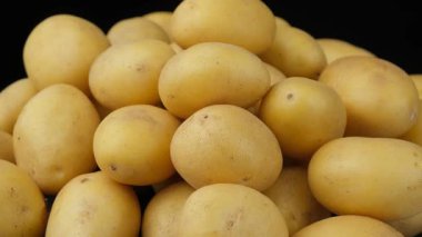 Taze Çiğ Soyulmamış Patates Yakın plan Doğal Çiftlik Sebzeleri