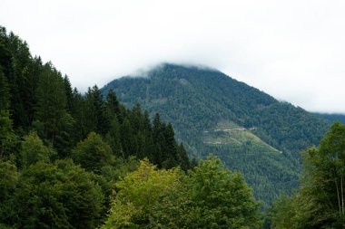 Bulutlarda Puslu Dağlarla Görkemli Yeşil Alp Manzarası.