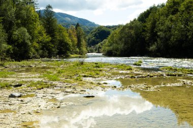 Yazın Orman Irmağı ile Güzel Doğal Arkaplan.
