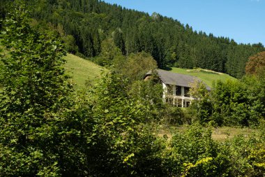 Doğanın Kalbindeki Huzurlu Dağ Evi. Sessizlik ve Ahenkle Huzurlu Manzara.