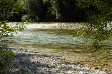 Yazın Orman Irmağı ile Güzel Doğal Arkaplan.
