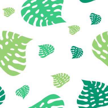 Palmiye yaprakları pürüzsüz. Beyaz arkaplanda izole tropikal yapraklar