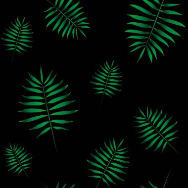 Palmiye yaprakları pürüzsüz. Koyu arkaplanda tropikal yapraklar