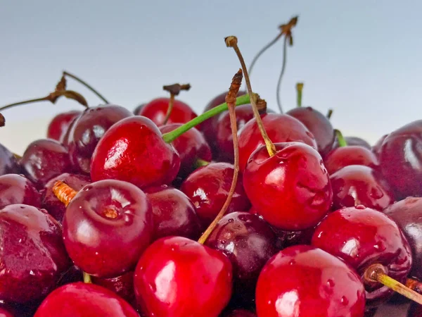 Fresh cherries background. Ripe red berries close-up. Selective focus — Stock Photo, Image