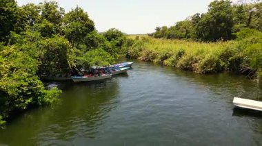 San Blas, Nayarit 'teki yemyeşil bitki örtüsüyle çevrili La Tovara nehrinin üzerinden geriye doğru uçan bir dron.