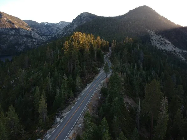 ABD 'nin Tahoe Gölü' ndeki bir ormandaki yol manzarası