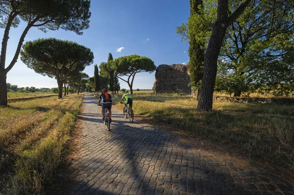 Appian Yolu 'nun bir uzantısı, Roma İmparatorluğu' nun en önemli sokaklarından biri. Yoğun bitki örtüsü, deniz çamları, bir yaz günü bir hendeğin yanında iki döngü. Roma, İtalya.
