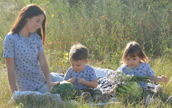 piknikte çocukları ikizler ile anne