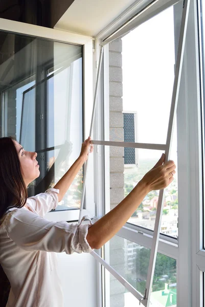 Kadın ve sivrisinek ağı