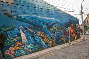 Valparaiso, Şili - 16 Mayıs 2016: renkli sokak sanatı Valparaiso Unesco Dünya Mirası bağlantı noktası şehir Şili'deki evlerinde dekorasyon.
