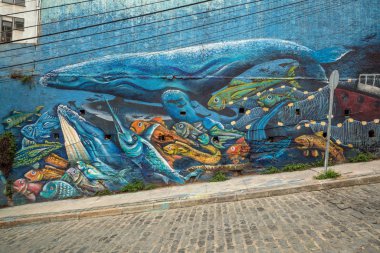 Valparaiso, Şili - 16 Mayıs 2016: renkli sokak sanatı Valparaiso Unesco Dünya Mirası bağlantı noktası şehir Şili'deki evlerinde dekorasyon.
