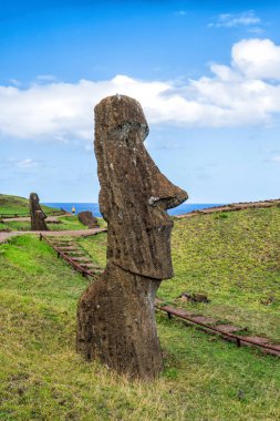 Mavi gökyüzü ile Rano Raraku Volcano Paskalya Adası, Şili'deki Moai heykeller