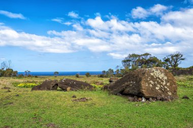 Mavi gökyüzü ile Rano Raraku Volcano Paskalya Adası, Şili'deki Moai heykeller
