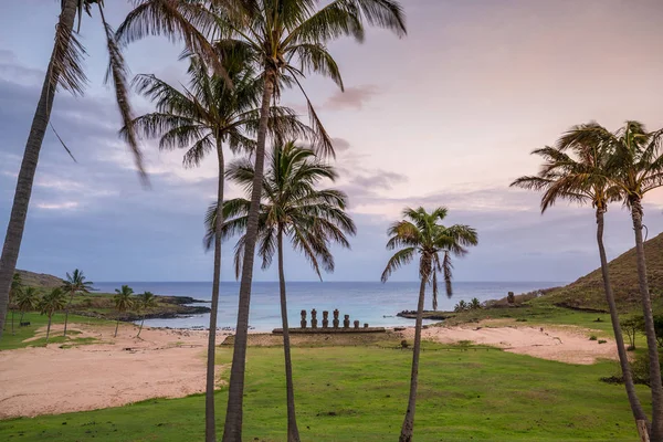 Moais Plage Anakena Sur Île Pâques Chili — Photo