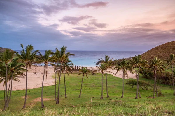 Moais Plage Anakena Sur Île Pâques Chili — Photo