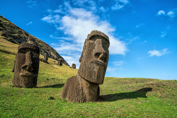 Moai statues in the Rano Raraku Volcano in Easter Island, Chile with blue sky