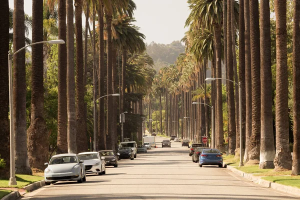 Ruas de Beverly Hills na Califórnia — Fotografia de Stock