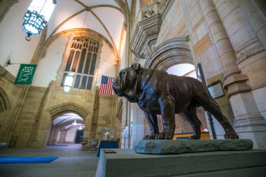 Yale Üniversitesi 'Nden yakışıklı dan