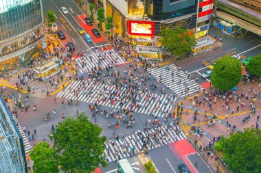 Shibuya Tokyo, Japonya 'da alacakaranlıkta tepeden bakıyor.