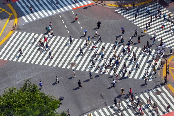 Shibuya Traversée Heure Avancée Été Tokyo Japon — Photo