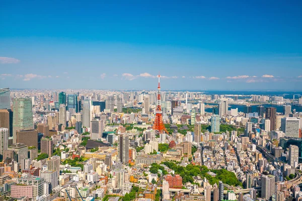 Japonya Tokyo Kulesi Ile Tokyo Silueti — Stok fotoğraf