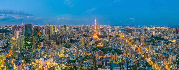 Tokyo Skyline Con Tokyo Tower Crepúsculo Japón —  Fotos de Stock