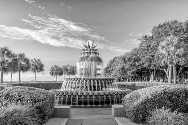 Ananasbrunnen Waterfront Park Charleston South Carolina Usa — Stockfoto