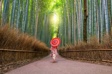 Japonya 'nın Kyoto kentindeki Arashiyama bambu ormanında geleneksel Yukata' da kırmızı şemsiyeli bir kadın.