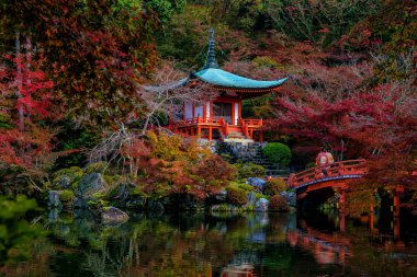 Sonbaharda renkli akçaağaç ağaçları olan Daigo-ji tapınağının manzarası, Kyoto, Japonya
