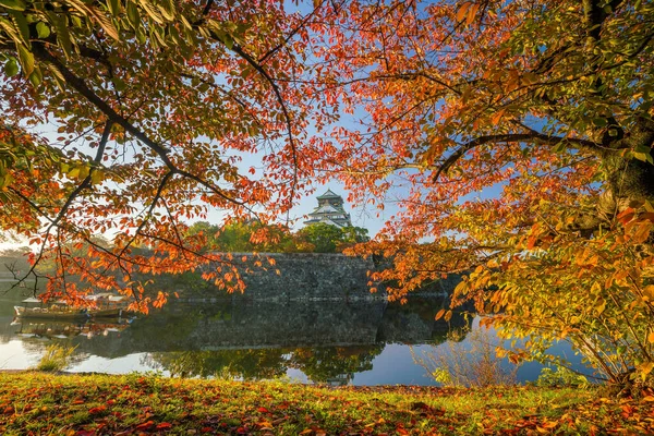 Kasteel Osaka Osaka Japan Herfst — Stockfoto