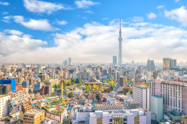 Tokyo şehrinin Japonya 'daki gökyüzü manzarası