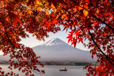 Mt. Fuji sonbaharda Kawaguchigo Gölü 'nde kırmızı akçaağaç yaprakları ile Japonya' da