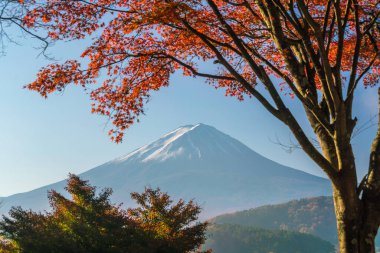 Mt. Fuji sonbaharda Kawaguchigo Gölü 'nde kırmızı akçaağaç yaprakları ile Japonya' da