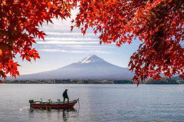 Mt. Fuji sonbaharda Kawaguchigo Gölü 'nde kırmızı akçaağaç yaprakları ile Japonya' da