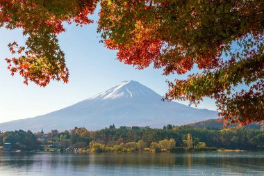 Mt. Fuji sonbaharda Kawaguchigo Gölü 'nde kırmızı akçaağaç yaprakları ile Japonya' da