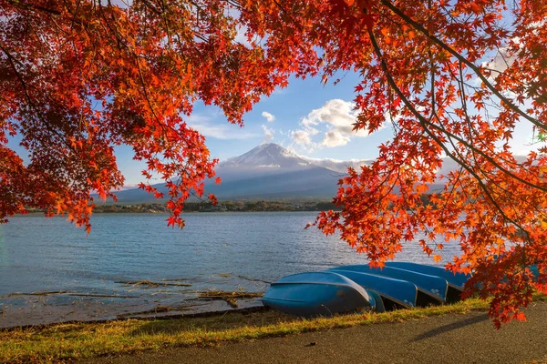 秋天的富士 日本川口湖红枫叶丛生 — 图库照片