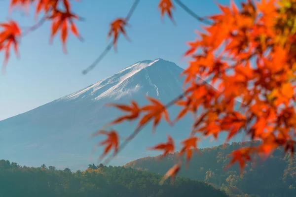 Fuji Autumn Red Maple Leaves Kawaguchigo Lake Japan — Stock Photo, Image