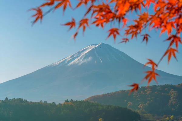 Гора Фудзи Осенью Листьями Красного Клена Озере Кавагутиго Японии — стоковое фото