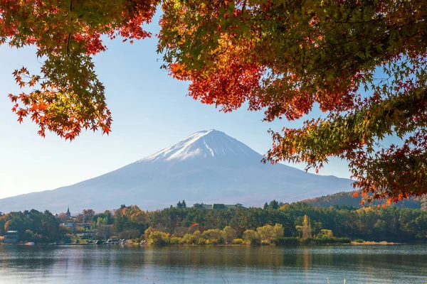 秋天的富士 日本川口湖红枫叶丛生 — 图库照片