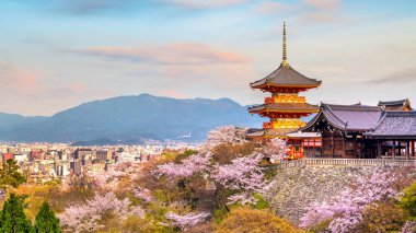 Kiyomizu-dera Tapınağı ve kiraz çiçeği mevsimi (Sakura) ilkbahar zamanı Japonya 'nın Kyoto kentinde